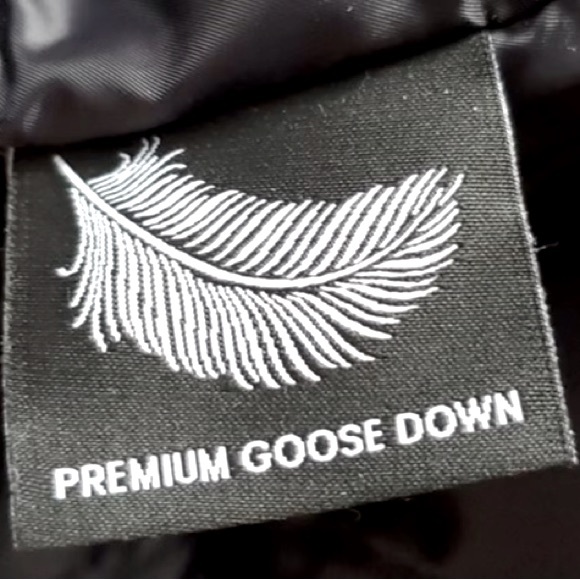 Aritzia Brand: Wilfred winter jacket - Picture 6 of 7